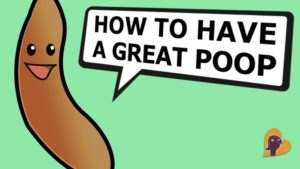 How-to-have-a-great-poop-an-instructional-video-by-Mama-Natural1